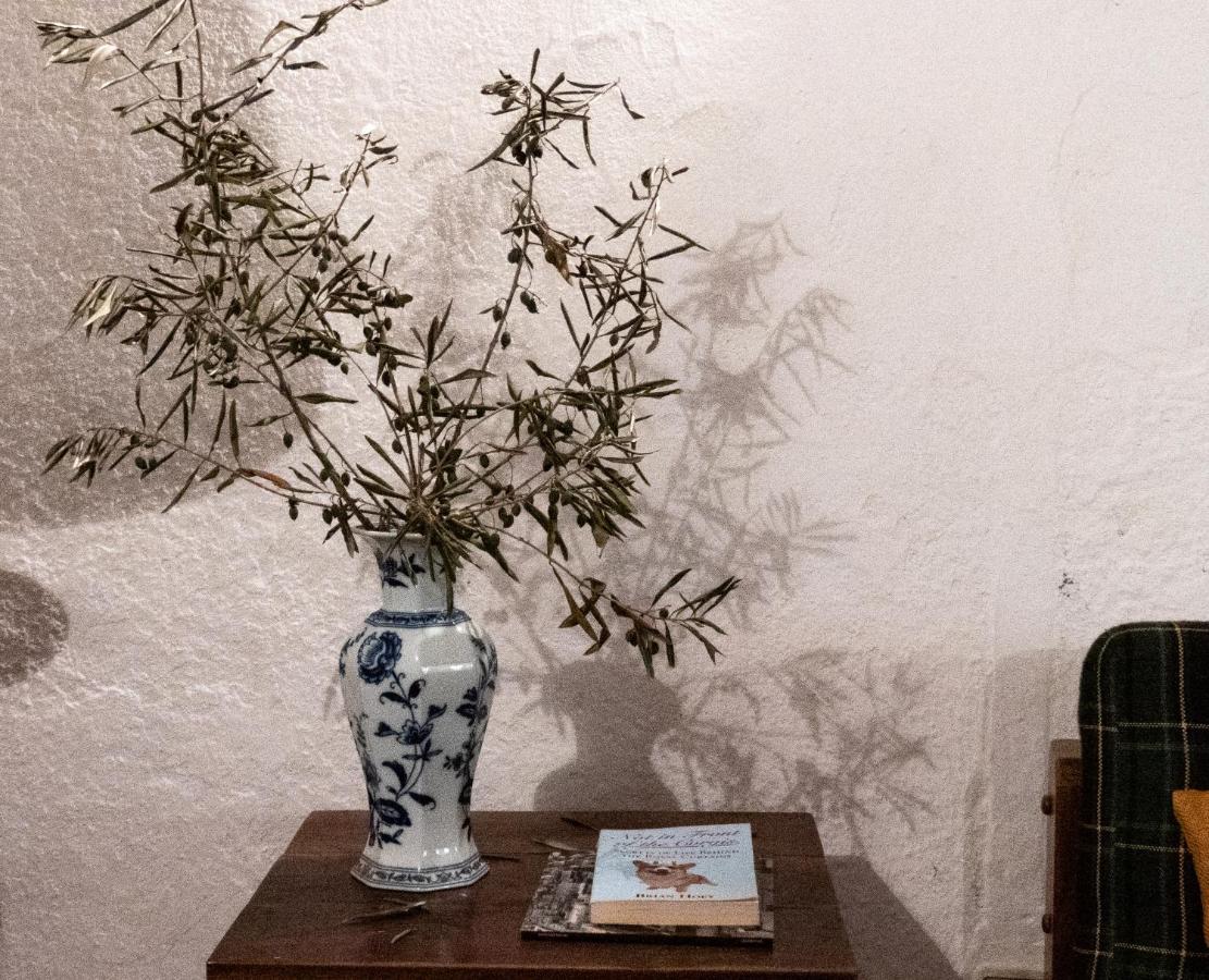 Monte Das Oliveiras أرايولوس المظهر الخارجي الصورة